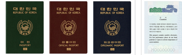 전자여권 (2008)